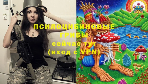 mix Новозыбков